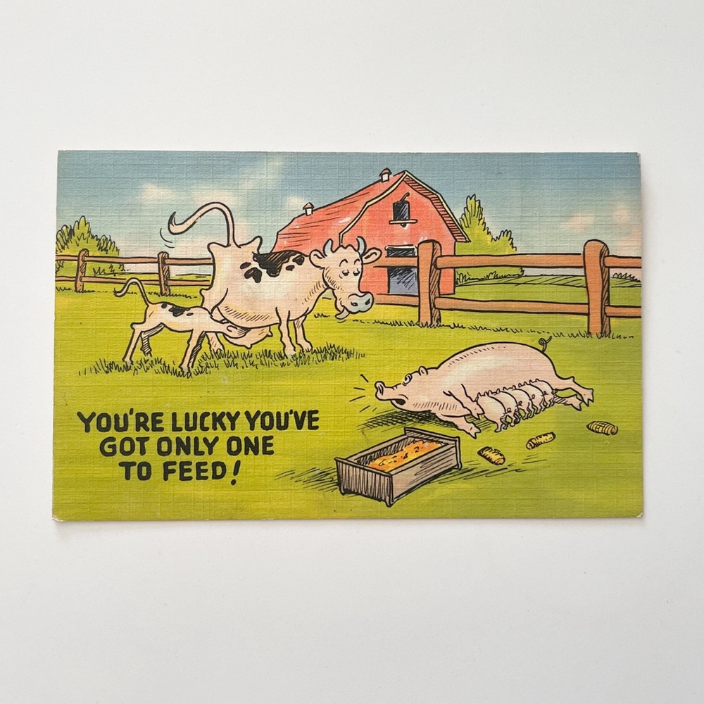 Vintage Postcard YOU'RE LUCKY YOU'VE GOT ONLY ONE TO FEED! Farm Animals